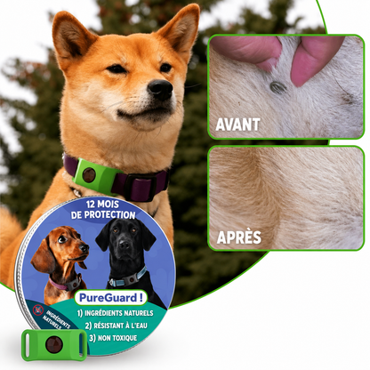 Médaillon de protection naturelle PureGuard® – 12 mois de protection contre les puces, les tiques et les parasites