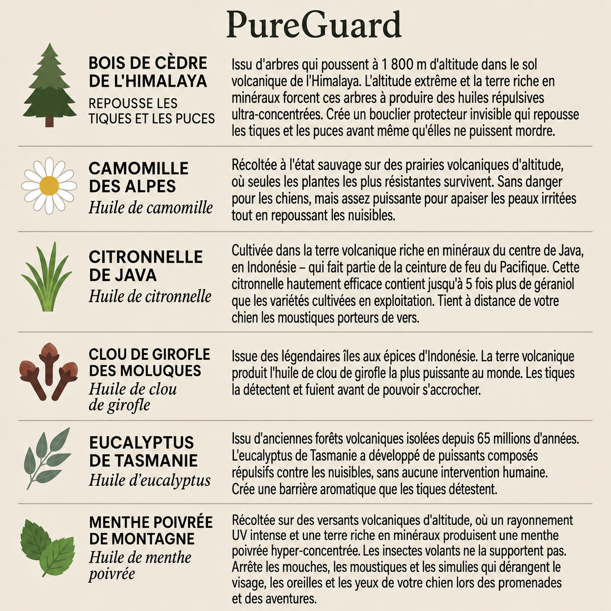 Médaillon de protection naturelle PureGuard® – 12 mois de protection contre les puces, les tiques et les parasites
