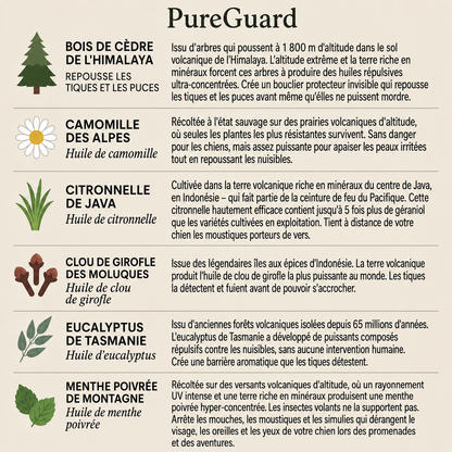 Médaillon de protection naturelle PureGuard® – 12 mois de protection contre les puces, les tiques et les parasites