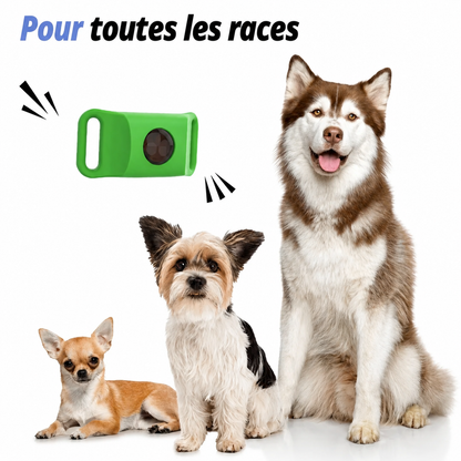 Médaillon de protection naturelle PureGuard® – 12 mois de protection contre les puces, les tiques et les parasites