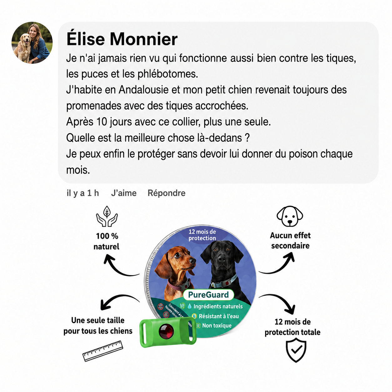 Médaillon de protection naturelle PureGuard® – 12 mois de protection contre les puces, les tiques et les parasites